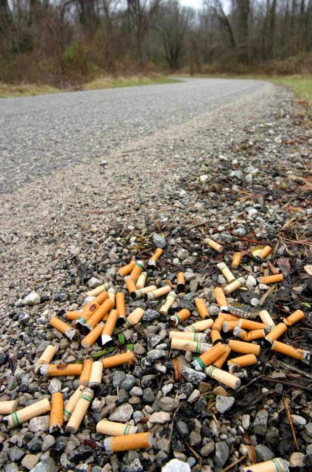 <b>CIGARETTE</b> BUTT IN LITER OF WATER CAN KILL FISH IN JUST FOUR DAYS